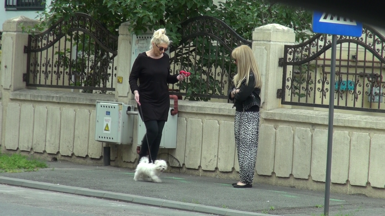 Carmen Adamescu şi-a plimbat micul patruped şi a fost păzită îndeaproape de bodyguarzi