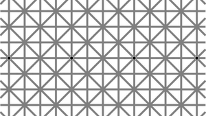 Iluzia optică ce a "păcălit" 2 milioane de oameni. Câte puncte negre vedeţi în imagine?