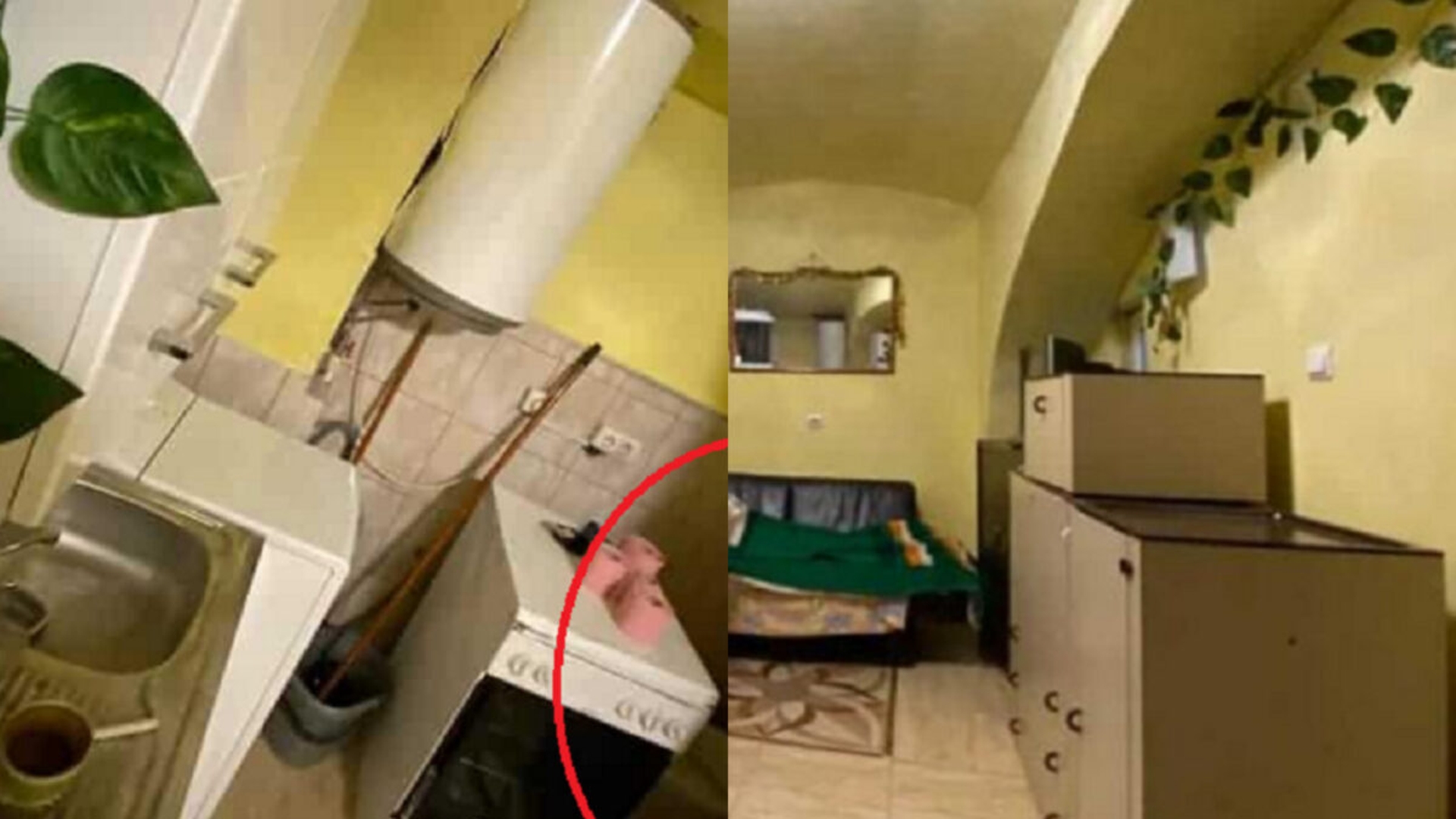 De-a râsu' plânsu'! Cât te costă să închiriezi o garsonieră cu aragazul lângă toaletă, în centrul Clujului