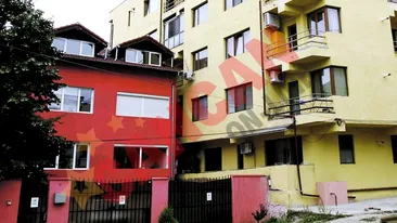 Doar o palma ii desparte