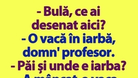 BANC | „Bulă, ce ai desenat aici?”
