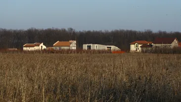 Dupa ce au trait la gramada cu Smiley, Piticu si Laura Cosoi, fratii Moga se muta intr-o casa care se intoarce dupa Soare!