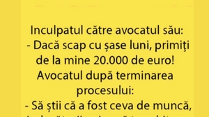 BANCUL ZILEI | Inculpatul către avocat: "Dacă scap cu 6 luni, primiți de la mine 20.000 de euro"