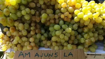 Cum își vinde un român strugurii în piață. Ce a scris pe carton: Am ajuns la..