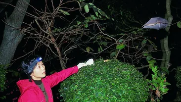 Cine a aruncat coronavirusul în lume?! Cum a apărut noul Covid-19, de fapt