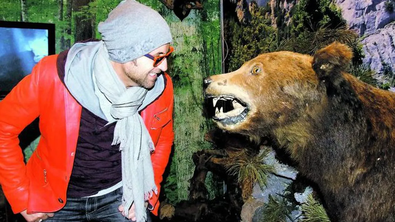 Bote traieste periculos. S-a dat la ursul brun