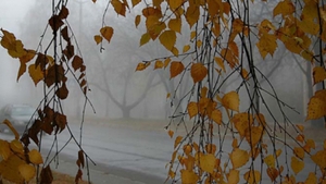 Meteo 25 februarie. Afla cum va fi vremea miercuri, dar si cum sa te imbraci