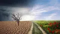 România, afectată de climă. Fenomene extreme des întâlnite