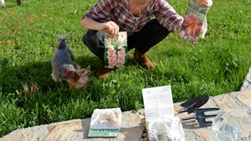 Laura Cosoi s-a apucat de gradinarit: M-am hotarat sa plantez cativa bulbi in gradina