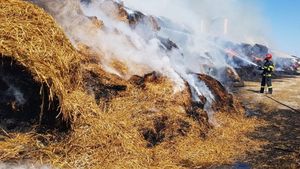 Incendiile de vegetație au pus pe jar pompierii din Dâmbovița. Acum se luptă cu focuri uriașe în mai multe localități
