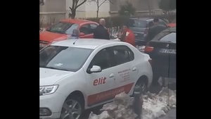Doi șoferi din Alexandria au transformat strada în ring de box!