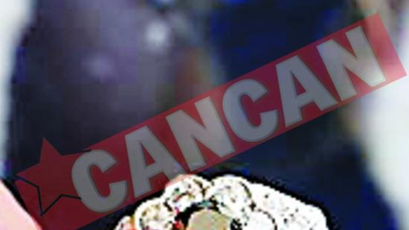 Si-a facut diamant din cenusa pisicii