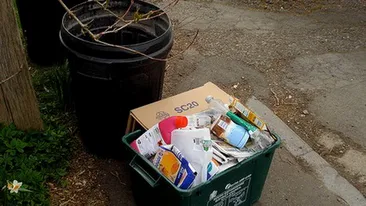 Ce a gasit un cuplu din SUA in propriul cos de gunoi. Ne-am aranjat. Nu mai trebuie sa muncim niciodata