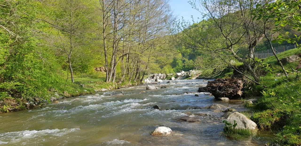 Cât costă o noapte de cazare în hotelul Monicăi Anghel. Foto: booking