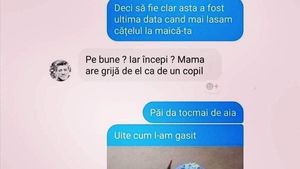 BANC | "Să fie clar, nu mai lăsăm cățelul la maică-ta. Uite cum l-am găsit!"