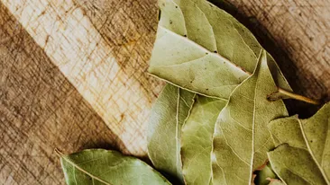 Motivul pentru care se pun foi de dafin sub pernă. Puţini s-ar fi gândit la asta