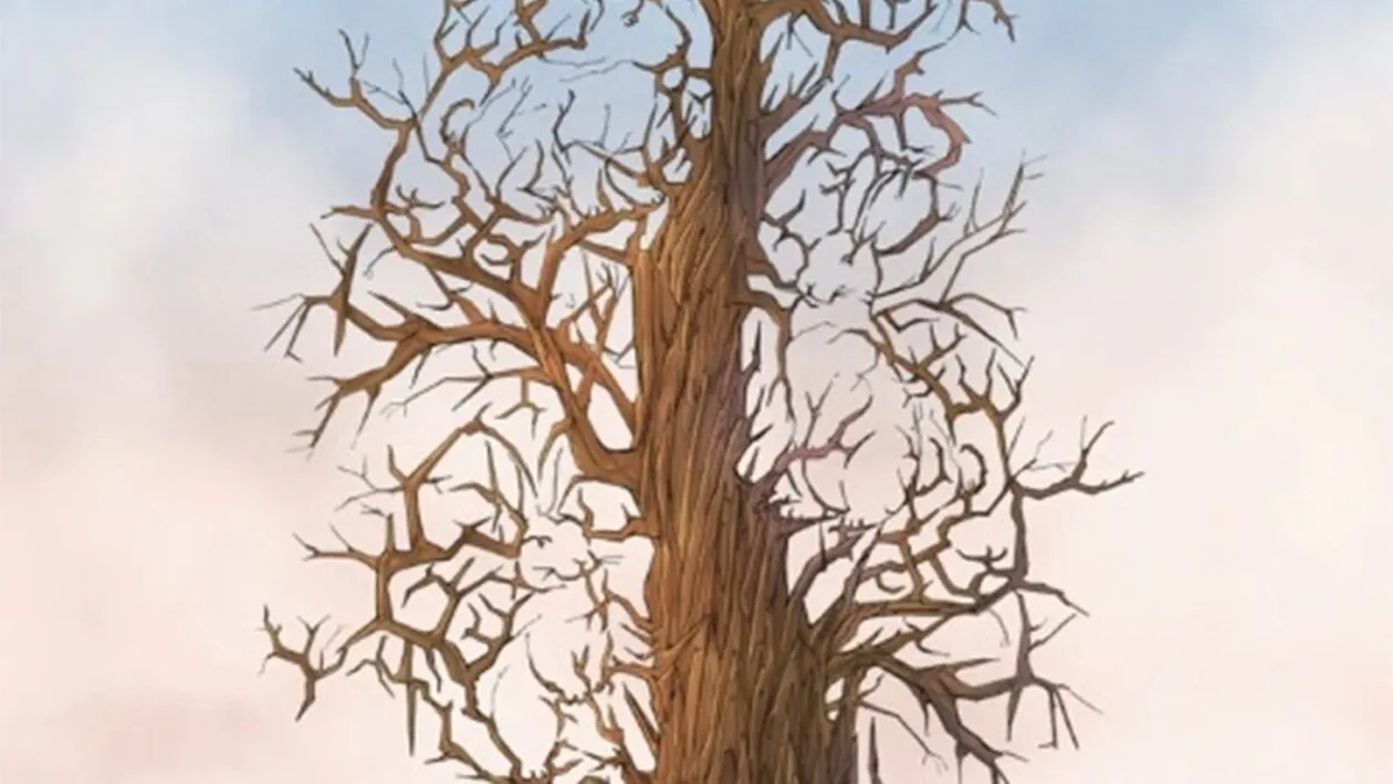 Iluzie optică virală | Ești un geniu dacă poți găsi toți cei 3 iepuri ascunși în această poză