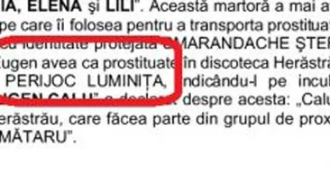 Violatoarea taximetristului din Tulcea apare intr-un dosar al lui Nutu Camataru!