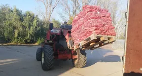 Galerie foto - poza 4