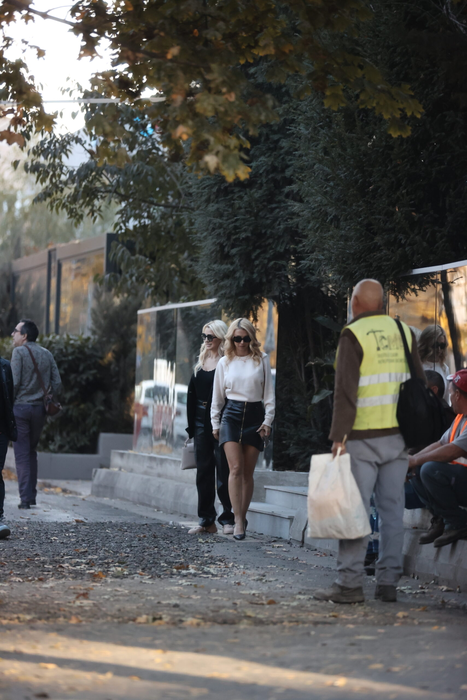 Andreea Bălan se retrage către mașină (Foto: CANCAN.RO)