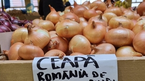 Nu este o eroare! Ireal cu câți lei se vinde 1 kilogram de ceapă în Piața Bucur Obor din București acum, cu 9 zile înainte de Crăciun
