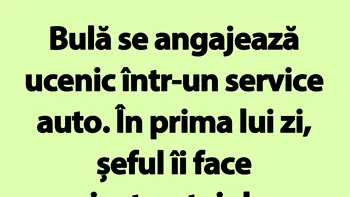 BANC | Bulă se angajează ucenic într-un service auto