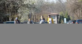 Galerie foto - poza 4