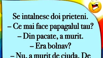 BANC | „Ce mai face papagalul tău?”