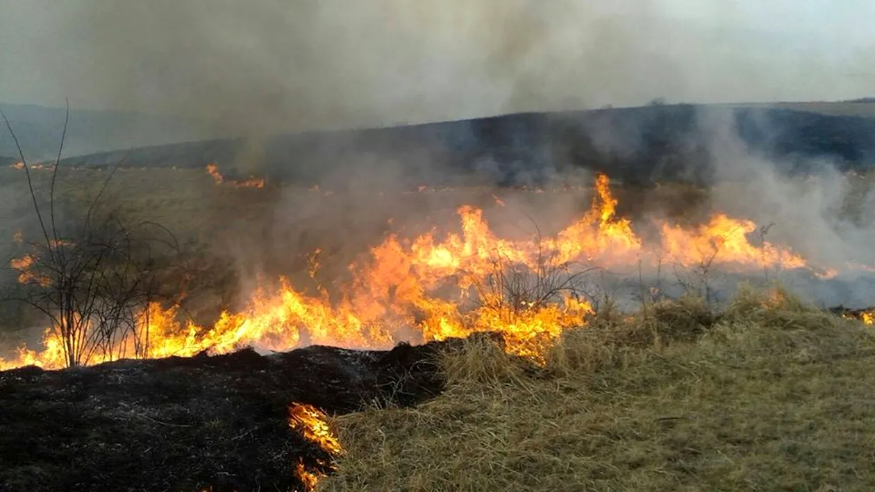 Incendiu puternic la marginea Reșiței, 150 de case în pericol. Culmea, localnicii fac selfie-uri | VIDEO