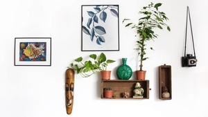 Sfaturi de decorare Feng Shui a casei