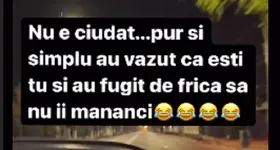 Galerie foto - poza 2