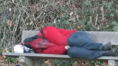 Muncitor român, lăsat să doarmă pe bancă în pădure de patron, în Germania: „Am sunat la poliție!”