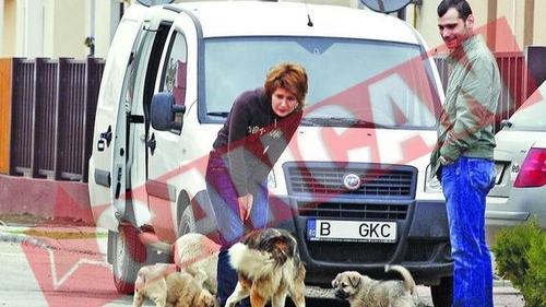 Sandra Stoicescu l-a imbogatit pe veterinarul din Pipera