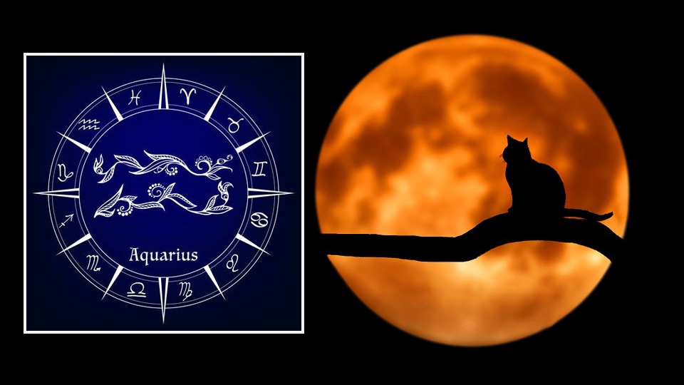 Horoscop săptămânal 26 noiembrie – 2 decembrie 2018. Vărsătorii pot încheia o relație