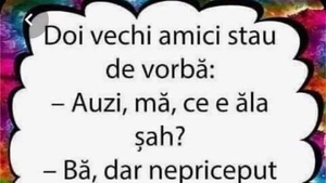BANCUL ZILEI | "Ce este șahul?"