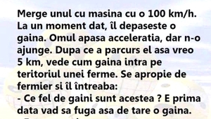 BANCUL ZILEI | Găina vitezistă