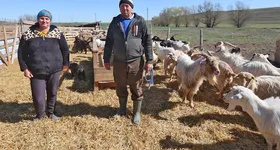 Galerie foto - poza 3