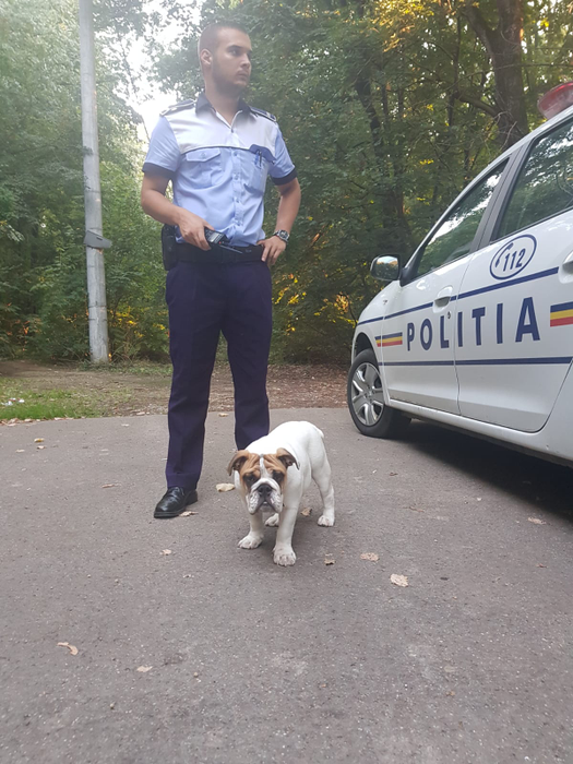 EXCLUSIV. Un cântăreț cunoscut a fost jefuit într-o pădure de la marginea Bucureștiului. Primele declarații: “Am auzit un geam spart, am văzut hoțul…”