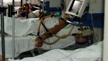 Doi soferi s-au batut in trafic din cauza unei tamponari. Unul dintre ei a ajuns la spital