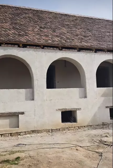 Dana Rogoz, vecină cu Regele Charles! Cum arată casa din Viscri. FOTO