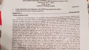 Evaluarea Națională 2019. Ce subiecte au picat la limba română în 2018