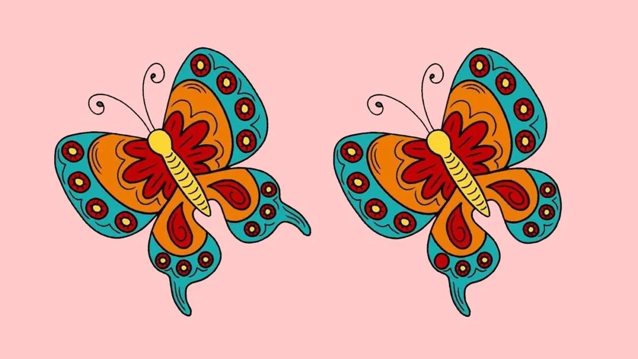 Test de logică | Acești doi fluturi par indentici, dar nu sunt. Găsiți cele 3 diferențe!