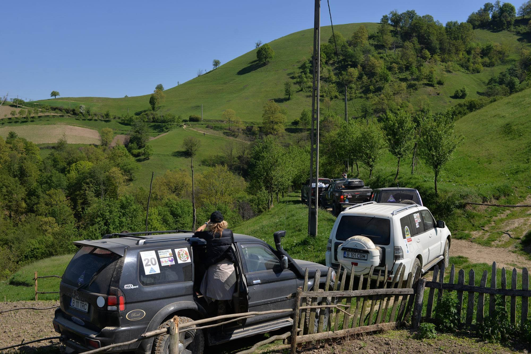 EMOŢIONANT! Un copil din Caraş Severin care păzea oile, a izbucnit în plâns când a văzut dulciuri
