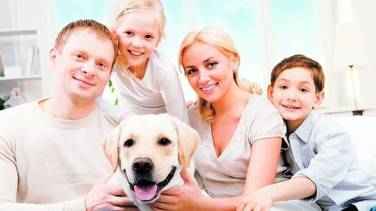 Celebrul dresor Cesar Millan ne da cele mai bune ponturi pentru dresaj si acomodare