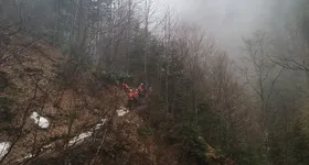 Galerie foto - poza 2