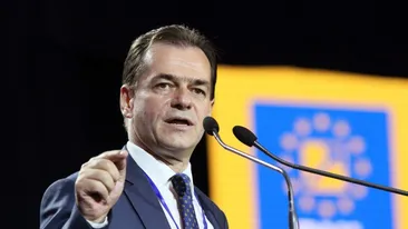 Ludovic Orban, despre incidentul cu oi din Portul Midia: ”Intervenția a fost îngreunată de vreme și condiții”