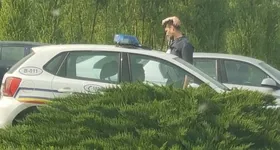 Galerie foto - poza 3