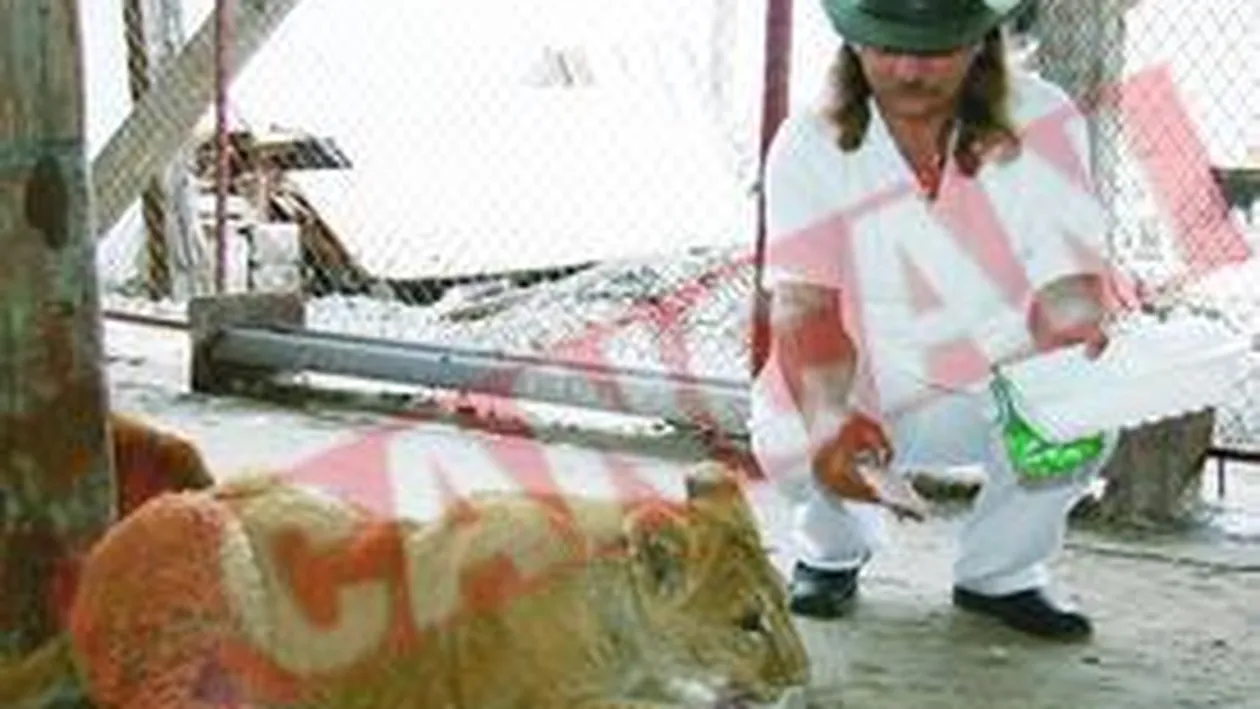 Si-a facut gradina zoologica acasa