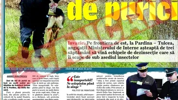 Teatrul din Deva, invadat de purici