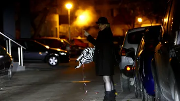 Jurata Emilia Popescu a plimbat o zebra prin Dorobanti, in miezul nosptii. Imagini hilare!